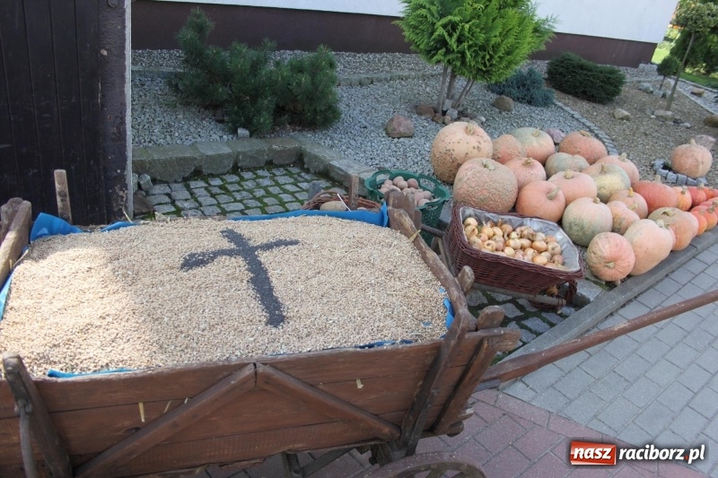 Zdjęcie w galerii na portalu naszraciborz.pl: Wieś ustrojona, do drogi gotowi. Jubileuszowe dożynki w Pawłowie  wiadomości z regionu