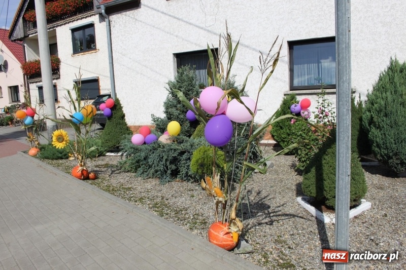 Zdjęcie w galerii na portalu naszraciborz.pl: Wieś ustrojona, do drogi gotowi. Jubileuszowe dożynki w Pawłowie  wiadomości z regionu