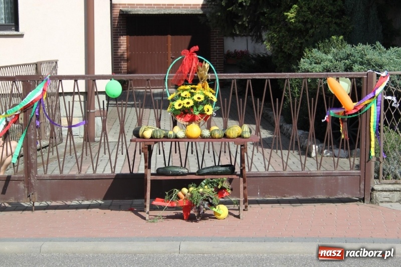 Zdjęcie w galerii na portalu naszraciborz.pl: Wieś ustrojona, do drogi gotowi. Jubileuszowe dożynki w Pawłowie  wiadomości z regionu