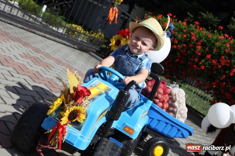 Zdjęcie w galerii na portalu naszraciborz.pl: Wieś ustrojona, do drogi gotowi. Jubileuszowe dożynki w Pawłowie  wiadomości z regionu