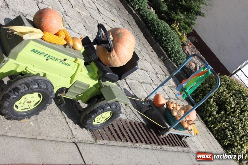 Zdjęcie w galerii na portalu naszraciborz.pl: Wieś ustrojona, do drogi gotowi. Jubileuszowe dożynki w Pawłowie  wiadomości z regionu