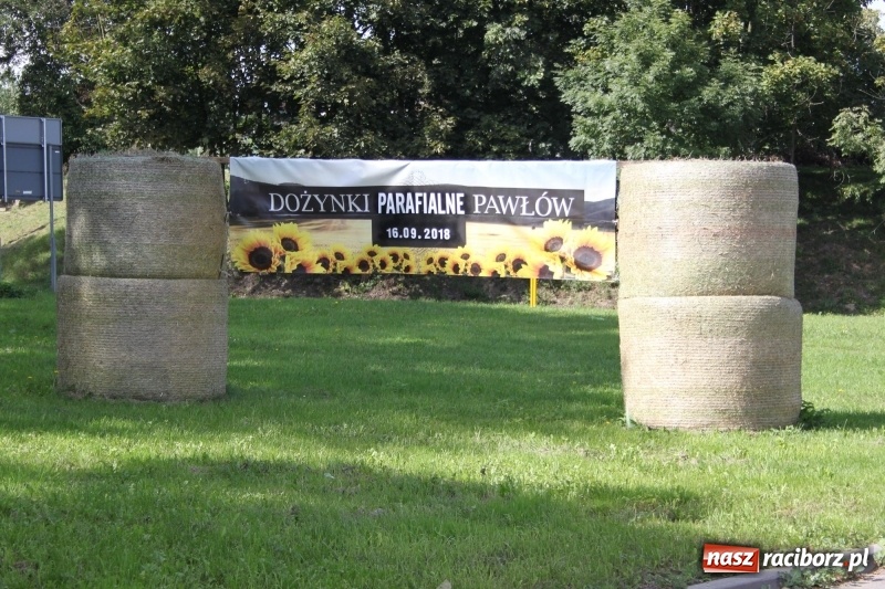 Zdjęcie w galerii na portalu naszraciborz.pl: Wieś ustrojona, do drogi gotowi. Jubileuszowe dożynki w Pawłowie  wiadomości z regionu