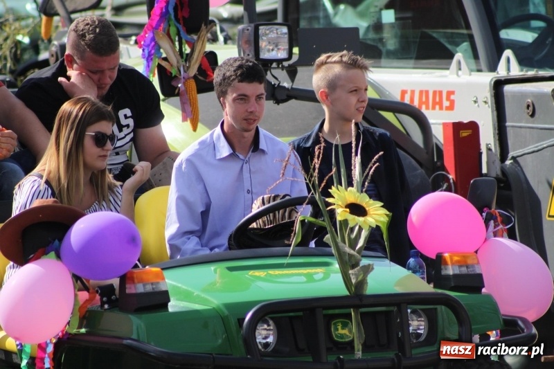 Zdjęcie w galerii na portalu naszraciborz.pl: Wieś ustrojona, do drogi gotowi. Jubileuszowe dożynki w Pawłowie  wiadomości z regionu