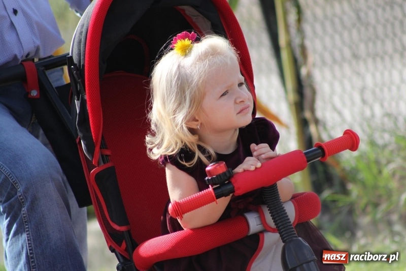 Zdjęcie w galerii na portalu naszraciborz.pl: Wieś ustrojona, do drogi gotowi. Jubileuszowe dożynki w Pawłowie  wiadomości z regionu