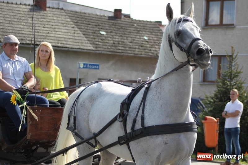 Zdjęcie w galerii na portalu naszraciborz.pl: Wieś ustrojona, do drogi gotowi. Jubileuszowe dożynki w Pawłowie  wiadomości z regionu