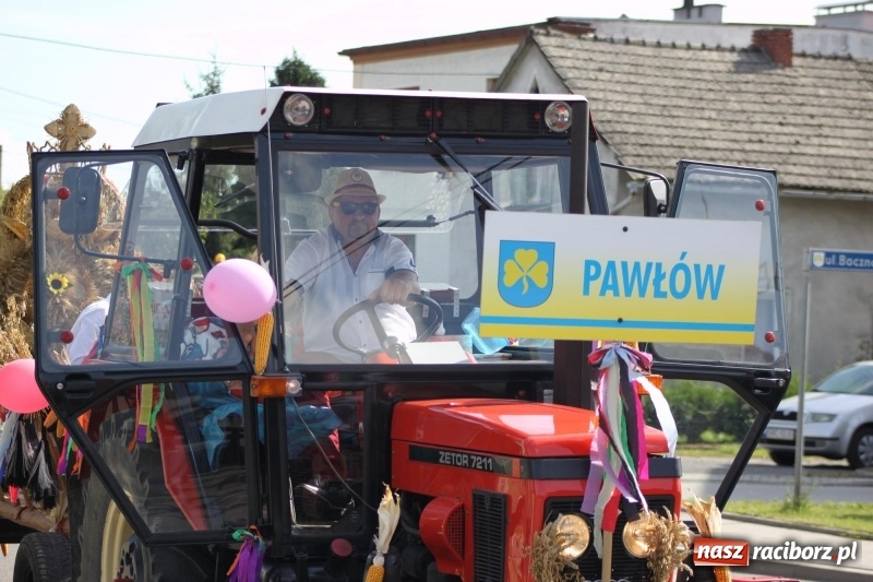 Zdjęcie w galerii na portalu naszraciborz.pl: Wieś ustrojona, do drogi gotowi. Jubileuszowe dożynki w Pawłowie  wiadomości z regionu