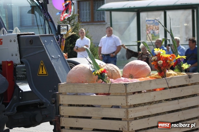 Zdjęcie w galerii na portalu naszraciborz.pl: Wieś ustrojona, do drogi gotowi. Jubileuszowe dożynki w Pawłowie  wiadomości z regionu