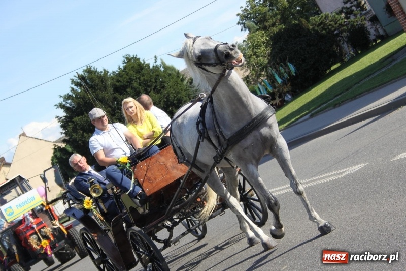 Zdjęcie w galerii na portalu naszraciborz.pl: Wieś ustrojona, do drogi gotowi. Jubileuszowe dożynki w Pawłowie  wiadomości z regionu