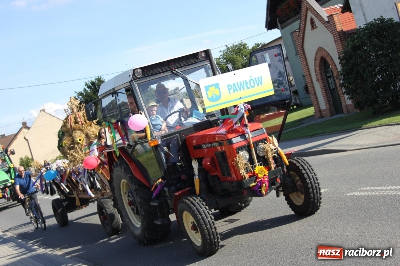 Zdjęcie w galerii na portalu naszraciborz.pl: Wieś ustrojona, do drogi gotowi. Jubileuszowe dożynki w Pawłowie  wiadomości z regionu