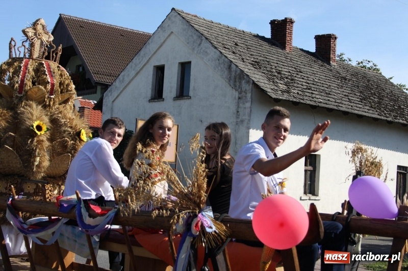 Zdjęcie w galerii na portalu naszraciborz.pl: Wieś ustrojona, do drogi gotowi. Jubileuszowe dożynki w Pawłowie  wiadomości z regionu
