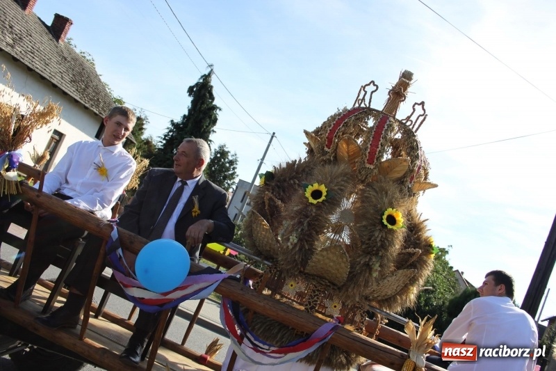 Zdjęcie w galerii na portalu naszraciborz.pl: Wieś ustrojona, do drogi gotowi. Jubileuszowe dożynki w Pawłowie  wiadomości z regionu