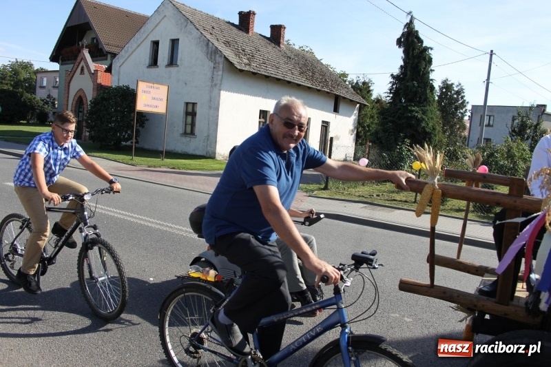 Zdjęcie w galerii na portalu naszraciborz.pl: Wieś ustrojona, do drogi gotowi. Jubileuszowe dożynki w Pawłowie  wiadomości z regionu