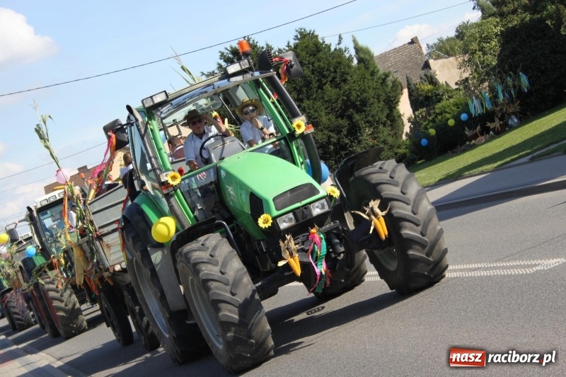Zdjęcie w galerii na portalu naszraciborz.pl: Wieś ustrojona, do drogi gotowi. Jubileuszowe dożynki w Pawłowie  wiadomości z regionu