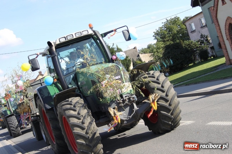Zdjęcie w galerii na portalu naszraciborz.pl: Wieś ustrojona, do drogi gotowi. Jubileuszowe dożynki w Pawłowie  wiadomości z regionu