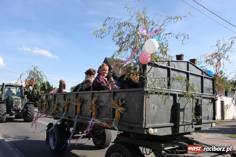 Zdjęcie w galerii na portalu naszraciborz.pl: Wieś ustrojona, do drogi gotowi. Jubileuszowe dożynki w Pawłowie  wiadomości z regionu