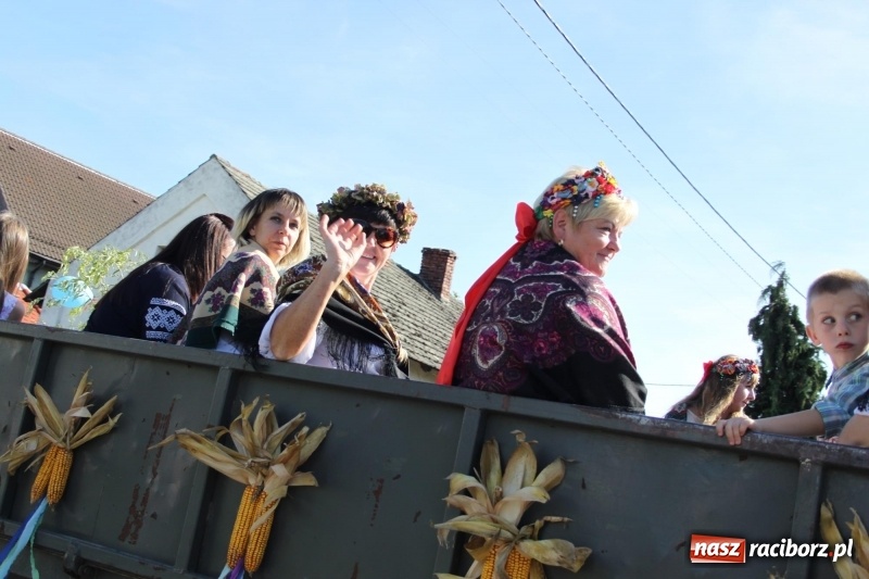 Zdjęcie w galerii na portalu naszraciborz.pl: Wieś ustrojona, do drogi gotowi. Jubileuszowe dożynki w Pawłowie  wiadomości z regionu