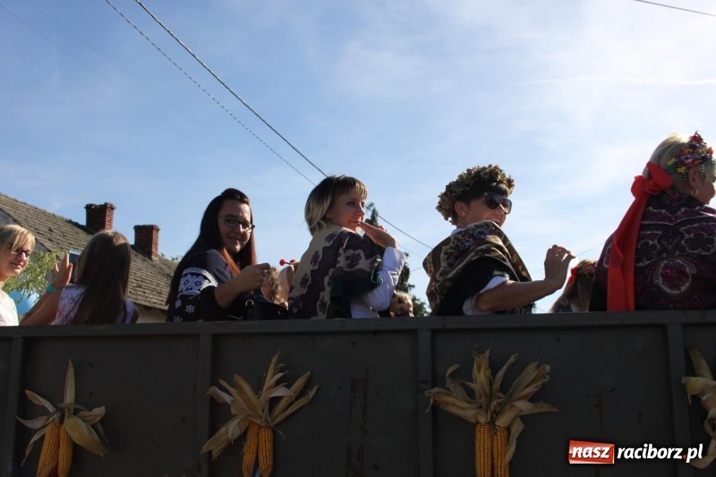 Zdjęcie w galerii na portalu naszraciborz.pl: Wieś ustrojona, do drogi gotowi. Jubileuszowe dożynki w Pawłowie  wiadomości z regionu