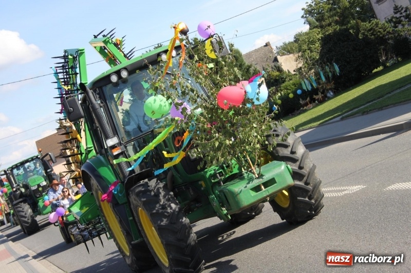 Zdjęcie w galerii na portalu naszraciborz.pl: Wieś ustrojona, do drogi gotowi. Jubileuszowe dożynki w Pawłowie  wiadomości z regionu