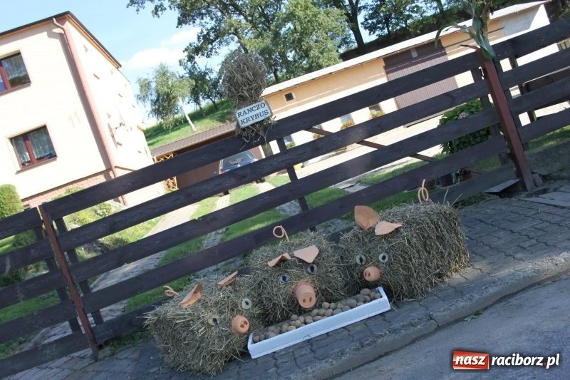 Zdjęcie w galerii na portalu naszraciborz.pl: Wieś ustrojona, do drogi gotowi. Jubileuszowe dożynki w Pawłowie  wiadomości z regionu