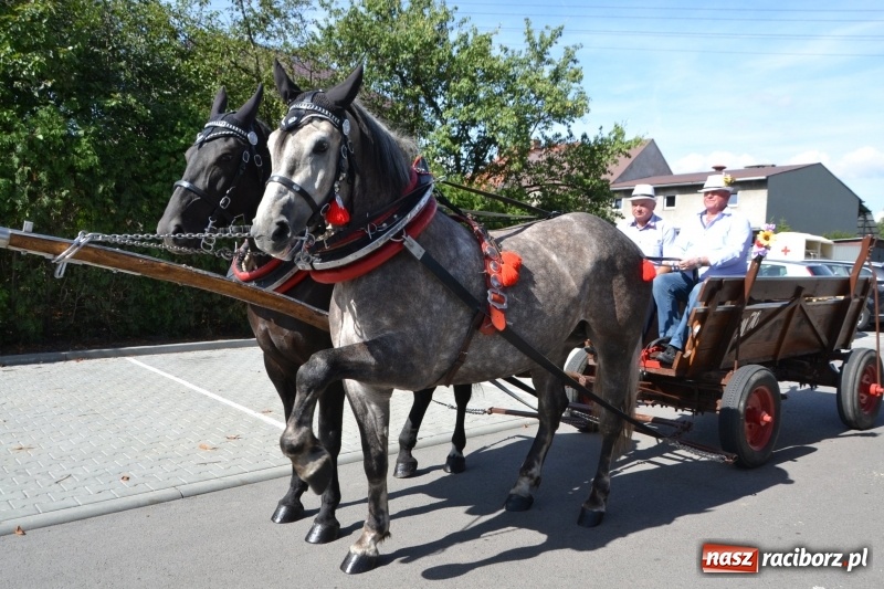 Zdjęcie w galerii na portalu naszraciborz.pl: Słoneczny patrol i delegacja z NFZ na dożynkach w Bieńkowicach  wiadomości z regionu