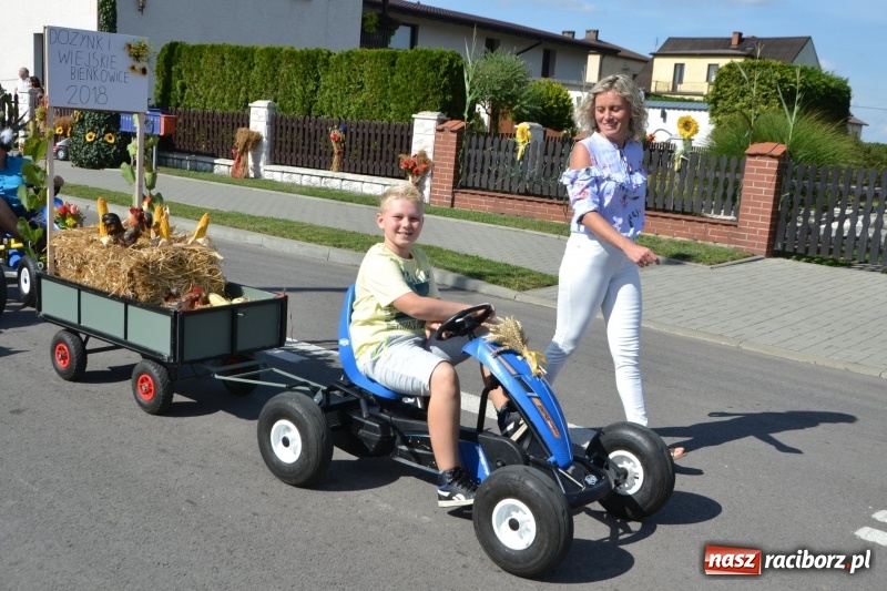 Zdjęcie w galerii na portalu naszraciborz.pl: Słoneczny patrol i delegacja z NFZ na dożynkach w Bieńkowicach  wiadomości z regionu