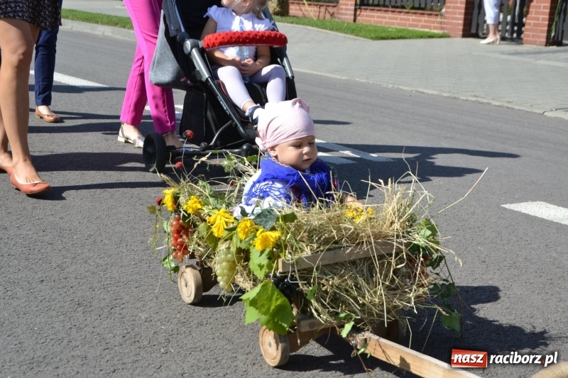 Zdjęcie w galerii na portalu naszraciborz.pl: Słoneczny patrol i delegacja z NFZ na dożynkach w Bieńkowicach  wiadomości z regionu