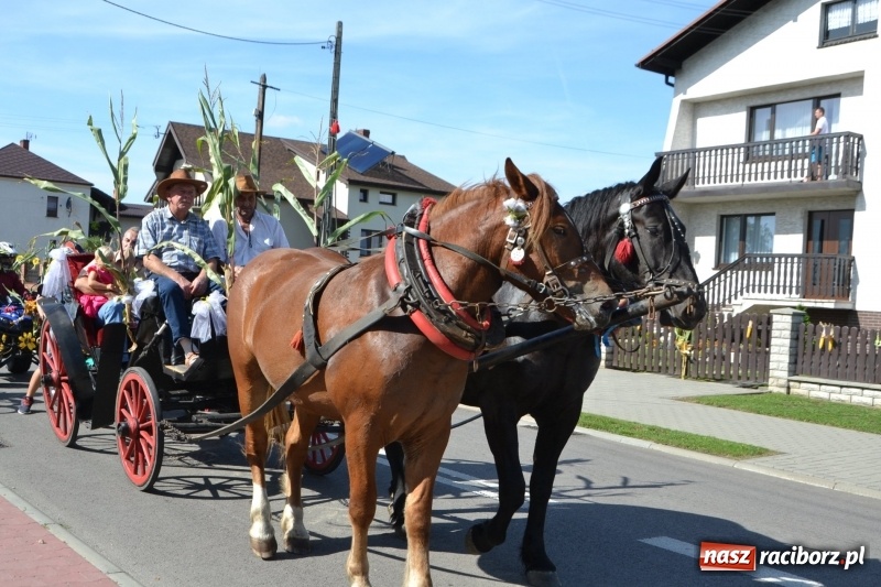 Zdjęcie w galerii na portalu naszraciborz.pl: Słoneczny patrol i delegacja z NFZ na dożynkach w Bieńkowicach  wiadomości z regionu
