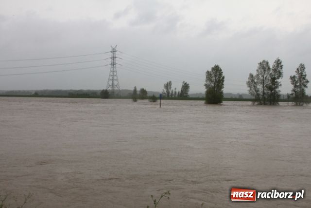 Zdjęcie w galerii na portalu naszraciborz.pl: Najnowsze informacje z powiatu raciborskiego wiadomości z regionu