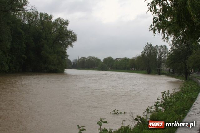 Zdjęcie w galerii na portalu naszraciborz.pl: Najnowsze informacje z powiatu raciborskiego wiadomości z regionu