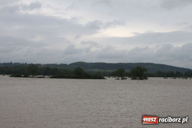 Zdjęcie w galerii na portalu naszraciborz.pl: Najnowsze informacje z powiatu raciborskiego wiadomości z regionu
