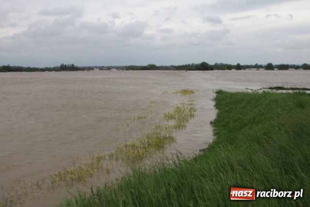Zdjęcie w galerii na portalu naszraciborz.pl: Najnowsze informacje z powiatu raciborskiego wiadomości z regionu