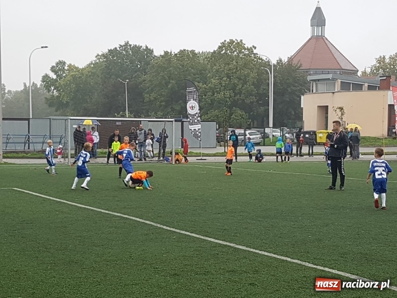 Zdjęcie w galerii na portalu naszraciborz.pl: LKS Tworków na międzynarodowym turnieju Akademia Cup w Tychach wiadomości z regionu