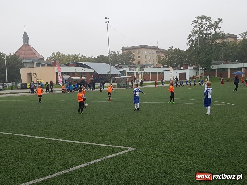 Zdjęcie w galerii na portalu naszraciborz.pl: LKS Tworków na międzynarodowym turnieju Akademia Cup w Tychach wiadomości z regionu