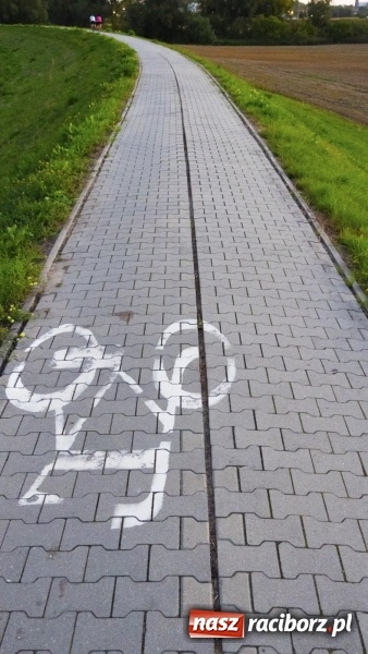 Zdjęcie w galerii na portalu naszraciborz.pl: Ścieżka w ciemności. Na Gliwickiej nie będzie lamp, bo nie ma prądu!  wiadomości z regionu