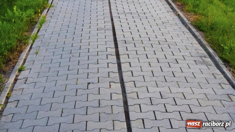 Zdjęcie w galerii na portalu naszraciborz.pl: Ścieżka w ciemności. Na Gliwickiej nie będzie lamp, bo nie ma prądu!  wiadomości z regionu