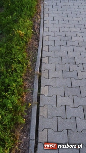 Zdjęcie w galerii na portalu naszraciborz.pl: Ścieżka w ciemności. Na Gliwickiej nie będzie lamp, bo nie ma prądu!  wiadomości z regionu