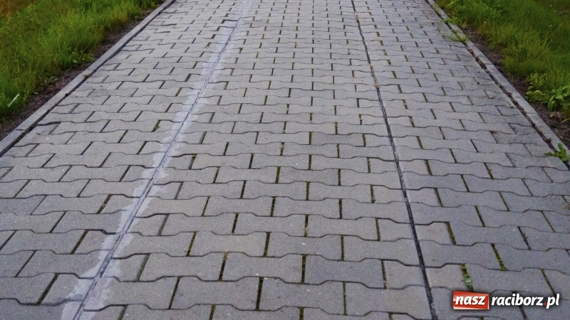 Zdjęcie w galerii na portalu naszraciborz.pl: Ścieżka w ciemności. Na Gliwickiej nie będzie lamp, bo nie ma prądu!  wiadomości z regionu