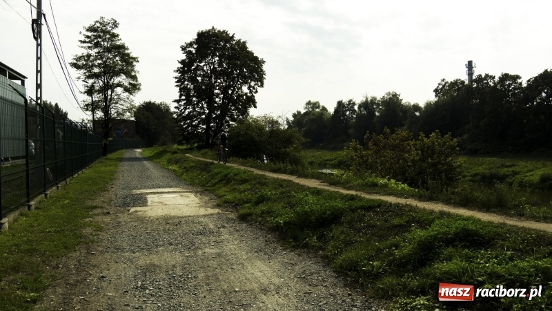 Zdjęcie w galerii na portalu naszraciborz.pl: Ścieżka w ciemności. Na Gliwickiej nie będzie lamp, bo nie ma prądu!  wiadomości z regionu