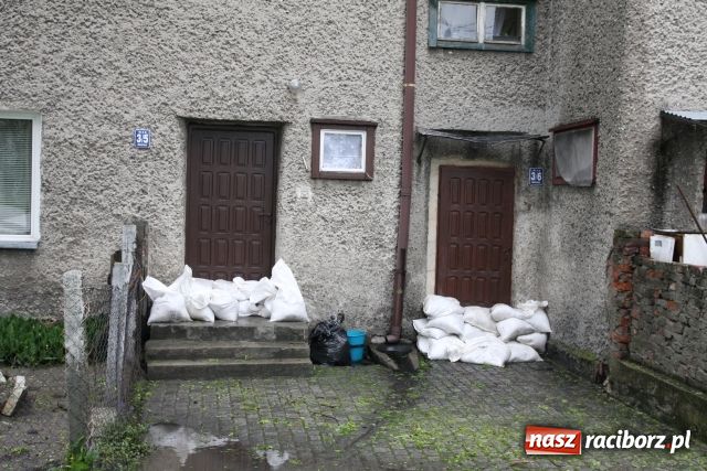 Zdjęcie w galerii na portalu naszraciborz.pl: Powiat raciborski pod wodą wiadomości z regionu