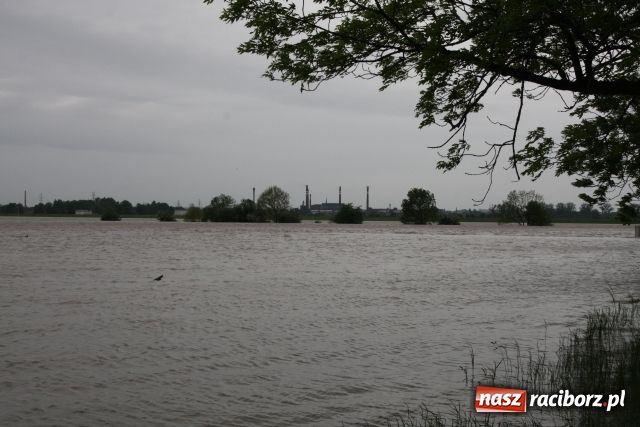 Zdjęcie w galerii na portalu naszraciborz.pl: Powiat raciborski pod wodą wiadomości z regionu