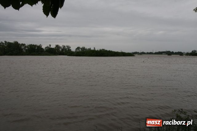 Zdjęcie w galerii na portalu naszraciborz.pl: Powiat raciborski pod wodą wiadomości z regionu
