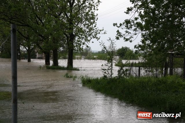 Zdjęcie w galerii na portalu naszraciborz.pl: Powiat raciborski pod wodą wiadomości z regionu