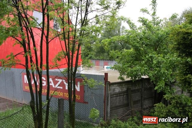 Zdjęcie w galerii na portalu naszraciborz.pl: Powiat raciborski pod wodą wiadomości z regionu