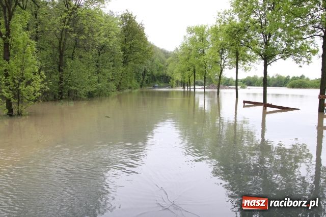 Zdjęcie w galerii na portalu naszraciborz.pl: Powiat raciborski pod wodą wiadomości z regionu