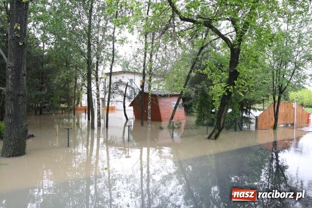 Zdjęcie w galerii na portalu naszraciborz.pl: Powiat raciborski pod wodą wiadomości z regionu