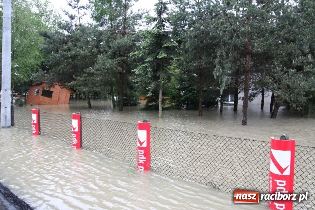 Zdjęcie w galerii na portalu naszraciborz.pl: Powiat raciborski pod wodą wiadomości z regionu