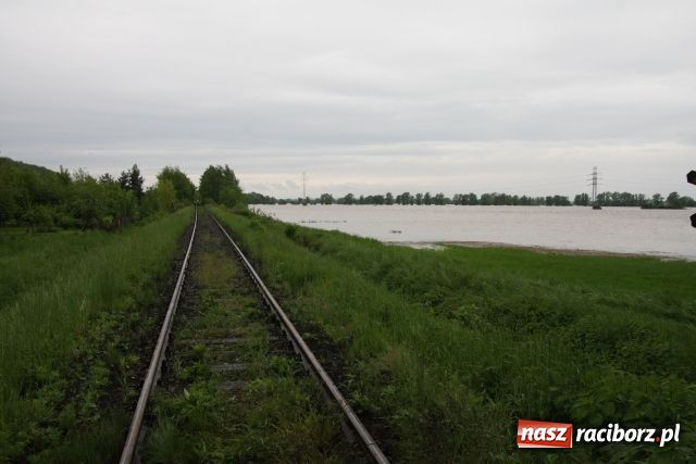 Zdjęcie w galerii na portalu naszraciborz.pl: Powiat raciborski pod wodą wiadomości z regionu