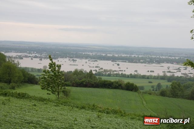 Zdjęcie w galerii na portalu naszraciborz.pl: Powiat raciborski pod wodą wiadomości z regionu
