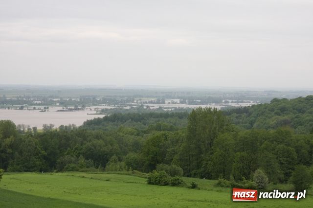 Zdjęcie w galerii na portalu naszraciborz.pl: Powiat raciborski pod wodą wiadomości z regionu