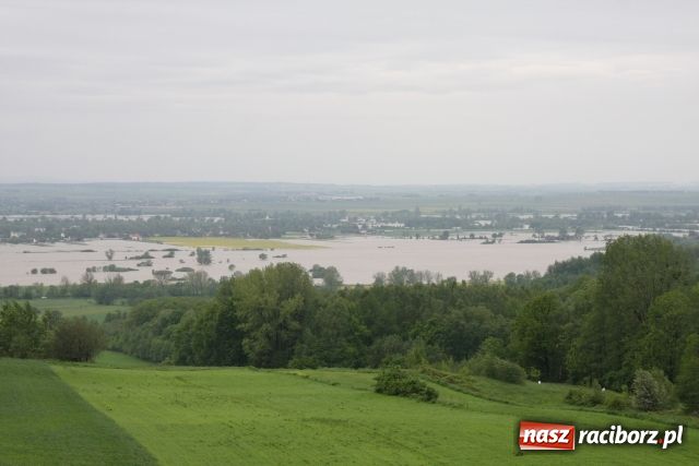 Zdjęcie w galerii na portalu naszraciborz.pl: Powiat raciborski pod wodą wiadomości z regionu